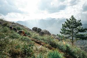 BIB: 
                            <button type="button" onclick="openModal(25997341)" class="btn btn-primary btn-sm float-right btn-popup" data-toggle="modal" data-target=".modal-high-quality">
                        <i class="fas fa-shopping-cart"></i> Add to Cart
                    </button>
                                            <button type="button" onclick="isThisMe(25997341, true)" class="btn btn-success btn-sm float-right btn-popup btn-isme hidden" data-toggle="tooltip" data-placement="bottom" title="นี่คือรูปของคุณใช่ไหม คลิกที่นี่เพื่อเอาเข้าอัลบั้ม">
                        <i class="fas fa-plus"></i> Add to album
                    </button>
                    <button type="button" onclick="isThisMe(25997341, false)" class="btn btn-warning btn-sm float-right btn-popup btn-isnotme hidden">
                        <i class="fas fa-ban"></i> Remove from album
                    </button>